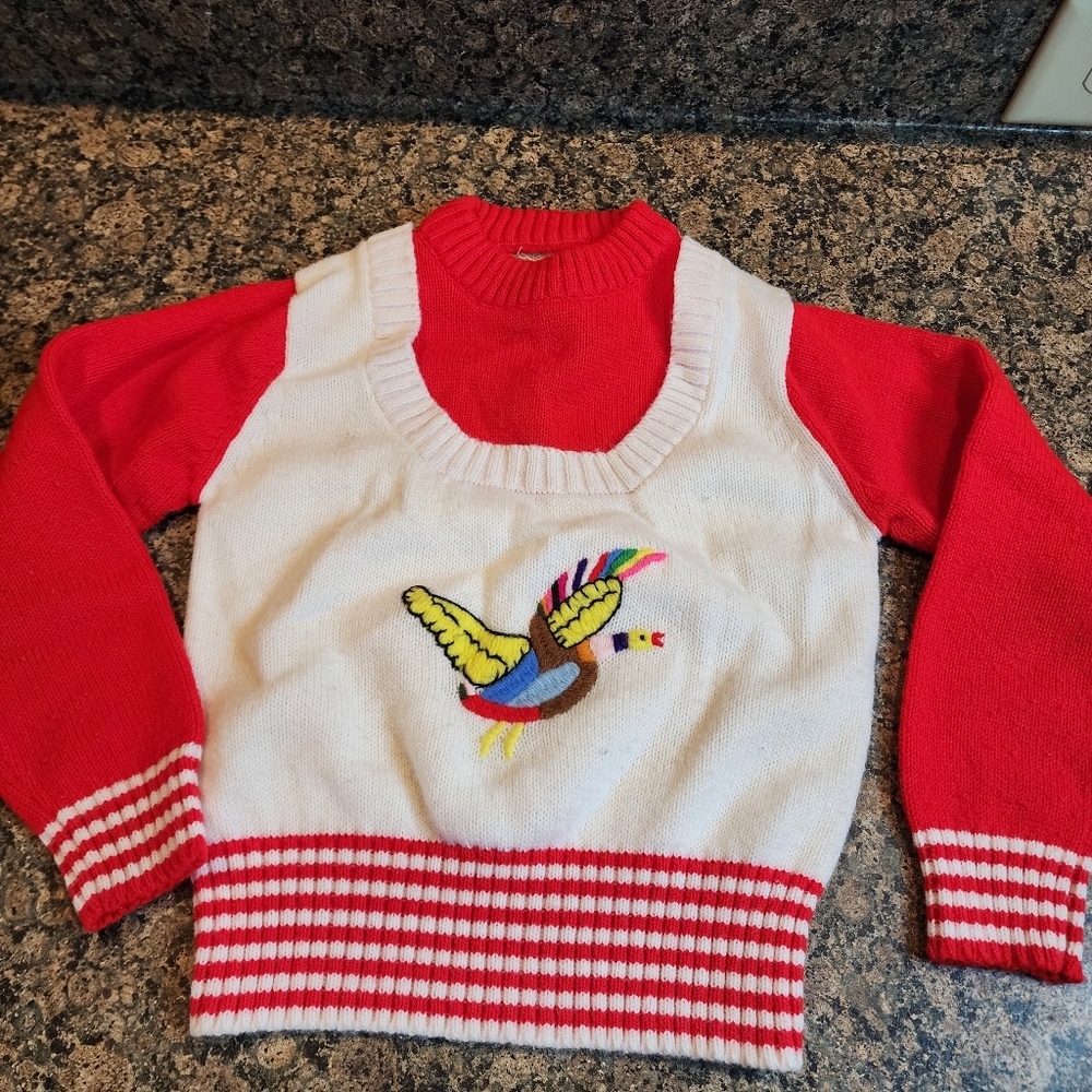 Vintage Children's Embroidered Bird Sweater with Red Sleeves